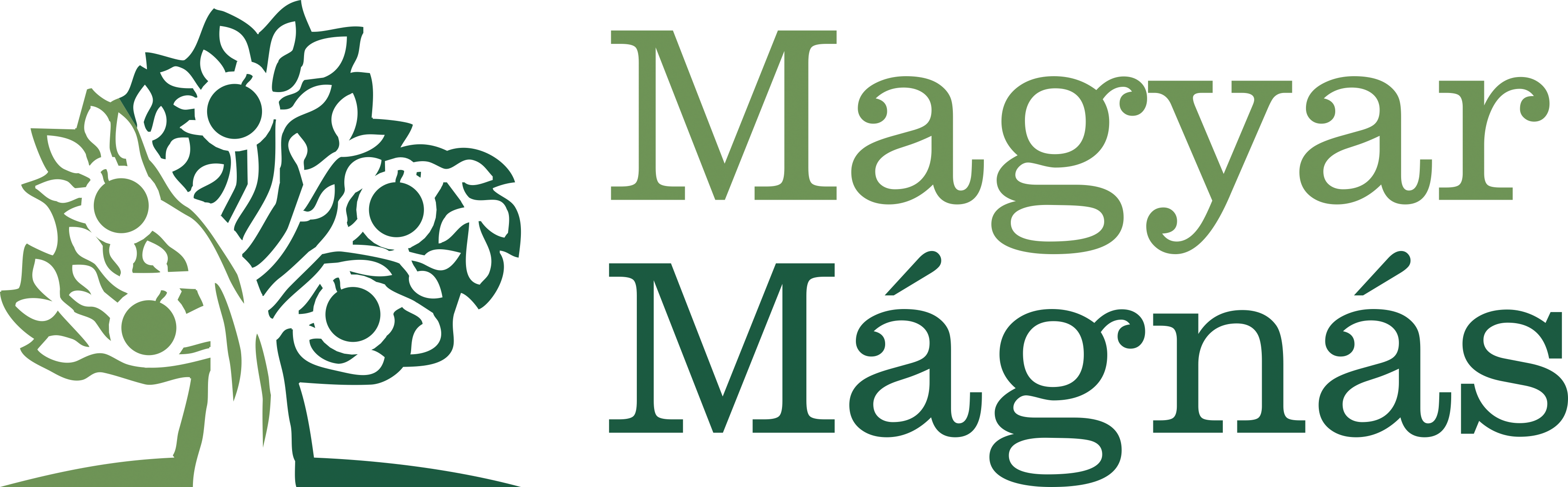 Magyar Mágnás